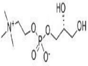 Alpha gpc structure diagram