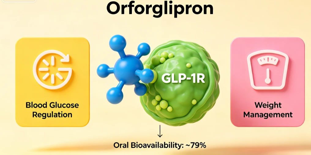 Mechanism of action of orforglipron Mechanism of action of orforglipron